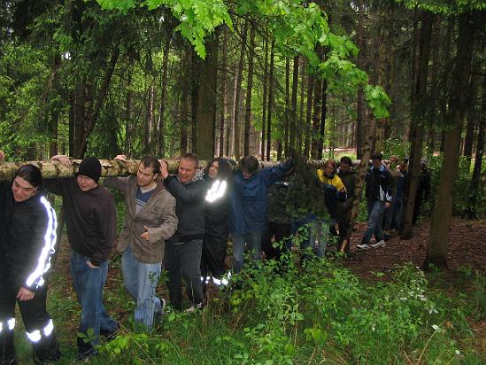 Maibaum 2009 007.jpg